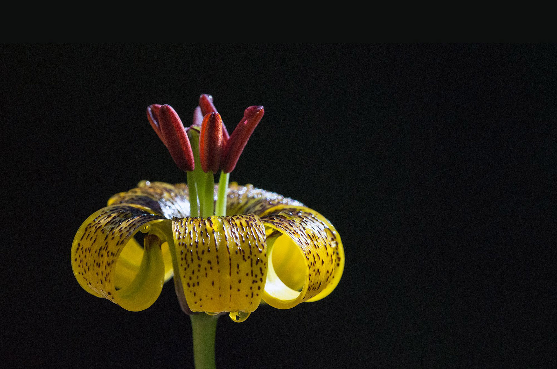 Fotoğrafçılık Eğitim Fotoğrafları